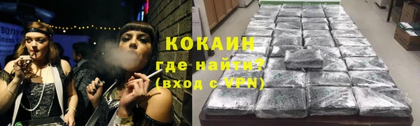прущие грибы Карпинск