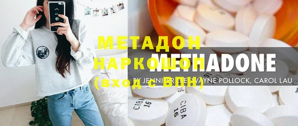 прущие грибы Карпинск