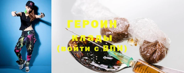 прущие грибы Карпинск