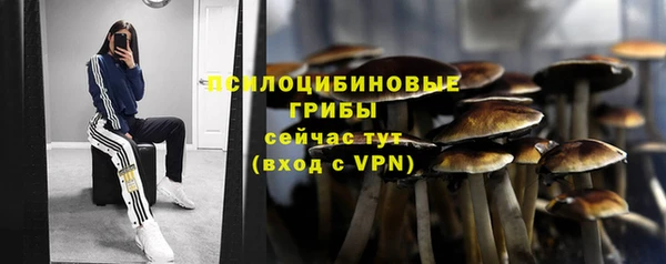 ALPHA-PVP Карталы
