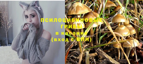 прущие грибы Карпинск