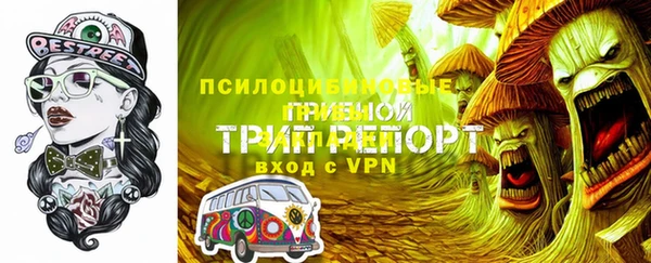 прущие грибы Карпинск