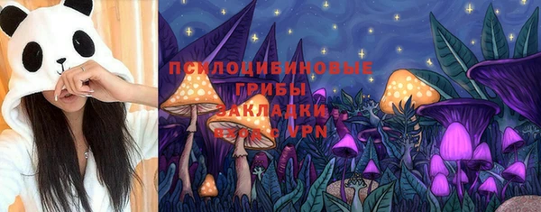 прущие грибы Карпинск
